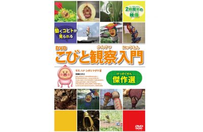 「こびと観察入門」傑作選 モモ ハナ シボリ ケダマ編のDVDが12/19に発売
