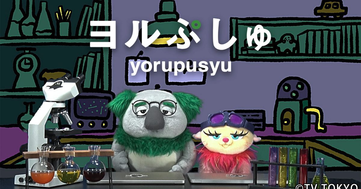 ヨルぷしゅ｜制作実績一覧｜株式会社ディレクションズ