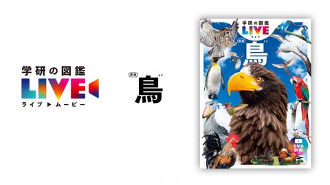 『学研の図鑑LIVE 新版 鳥』DVD/ストリーミング映像