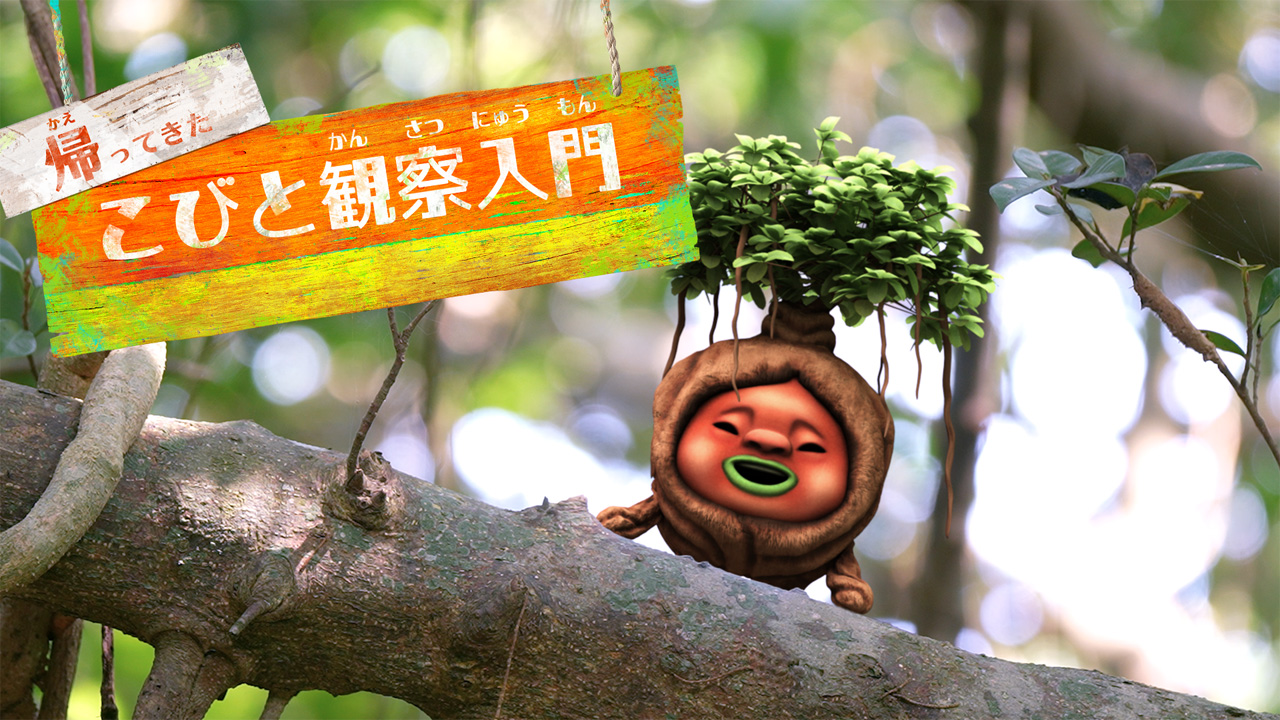 帰ってきた こびと観察入門　キニナジムナー編を制作